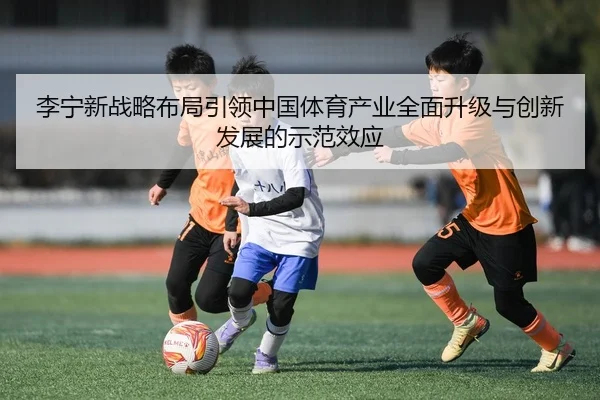 li-ning-xin-zhan-lve-bu-ju-yin-ling-zhong-guo-ti-yu-chan-ye-quan-mian-sheng-ji-yu-chuang-xin-fa-zhan-de-shi-fan-xiao-2-512.jpg