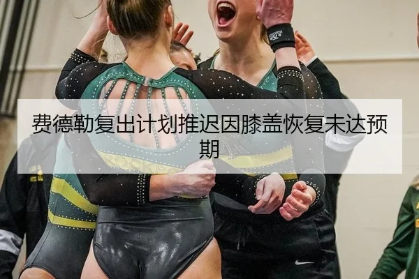 费德勒复出计划推迟因膝盖恢复未达预期