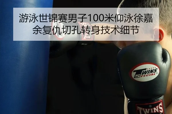 游泳世锦赛男子100米仰泳徐嘉余复仇切孔转身技术细节